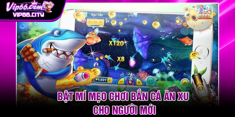Bật Mí Mẹo Chơi Bắn Cá Ăn Xu Cho Người Mới