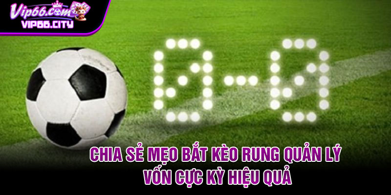 Chia sẻ mẹo bắt kèo rung quản lý vốn cực kỳ hiệu quả