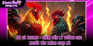 Da Ga Thomo – Diem Den Ly Tuong Cho Nguoi Yeu Thich Choi Ke