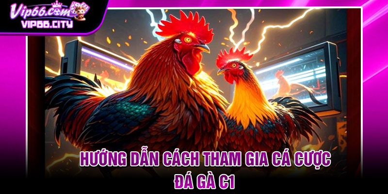 Hướng dẫn cách tham gia cá cược đá gà c1