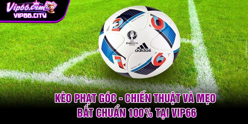 Keo Phat Goc Chien Thuat Va Meo Bat Chuan 100 Tai Vip66