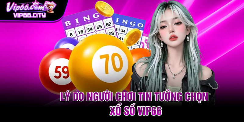 Lý do người chơi tin tưởng chọn xổ số Vip66
