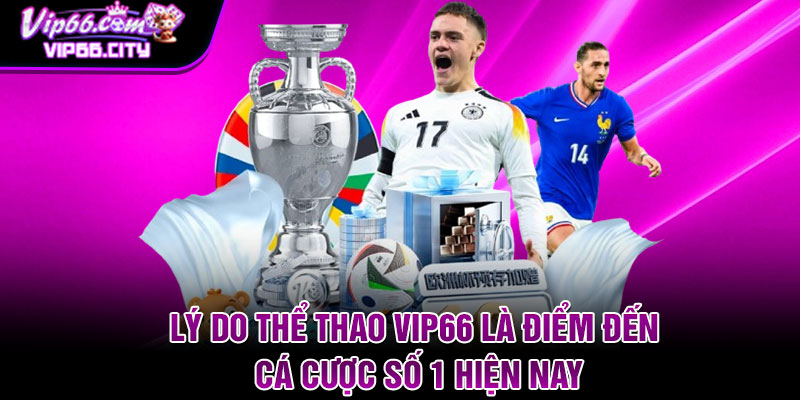 Lý do thể thao Vip66 là điểm đến cá cược số 1 hiện nay