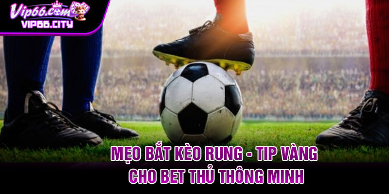 Meo Bat Keo Rung Tip Vang Cho Bet Thu Thong Minh