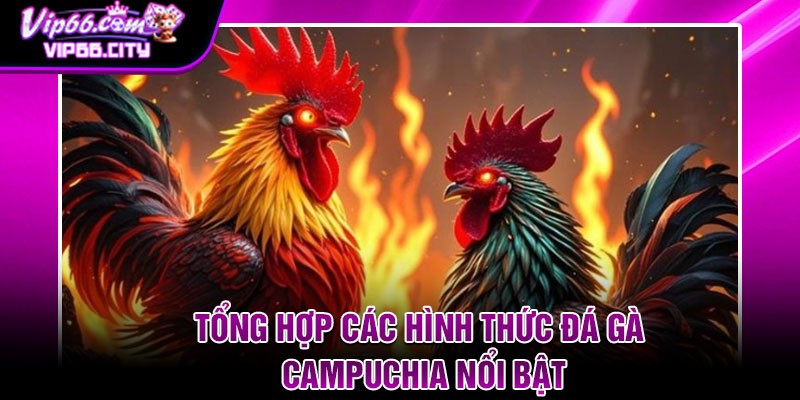Tổng hợp các hình thức đá gà Campuchia nổi bật